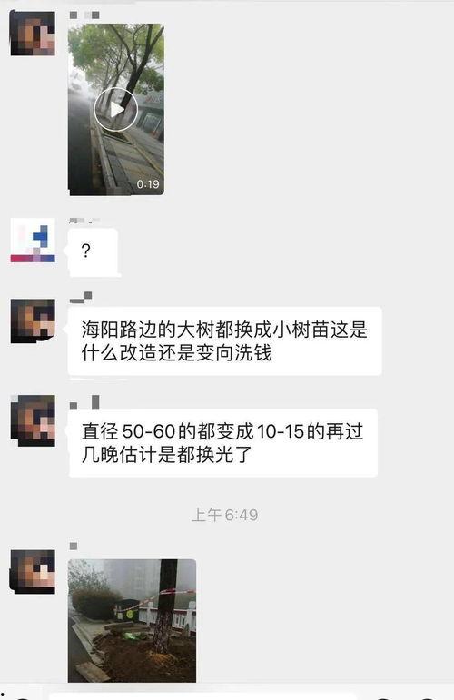 大树爆料视频,揭秘视频背后的惊人真相 第2张 大树爆料视频,揭秘视频背后的惊人真相 第2张